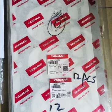 GASKET ASSY,HEAD 729903-01350