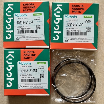 ASSY PISTON RING 1G918-21054
